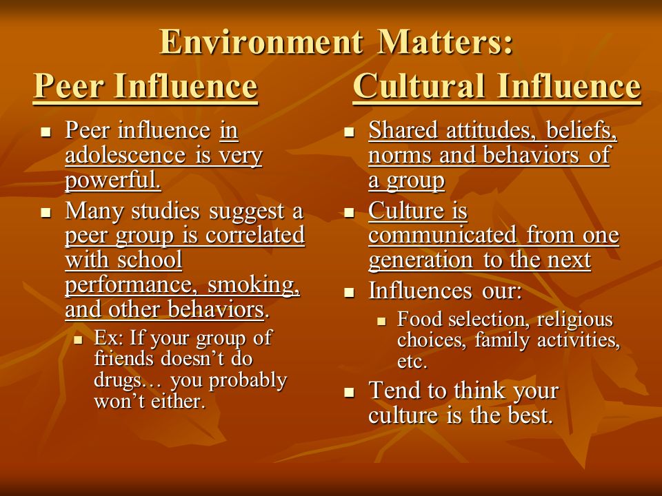 Environment Matters: Peer Influence Cultural Influence Peer influence in adolescence is very powerful.