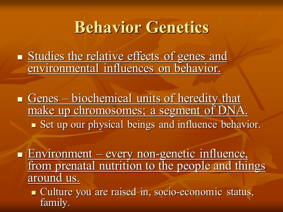 Behavior Genetics Studies the relative effects of genes and environmental influences on behavior.