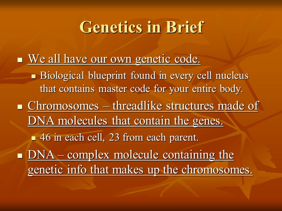 Genetics in Brief We all have our own genetic code.