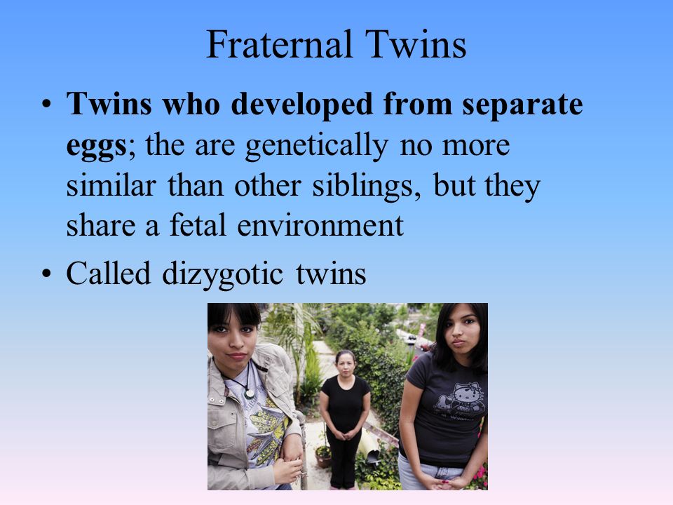 Fraternal Twins Twins who developed from separate eggs; the are genetically no more similar than other siblings, but they share a fetal environment Called dizygotic twins