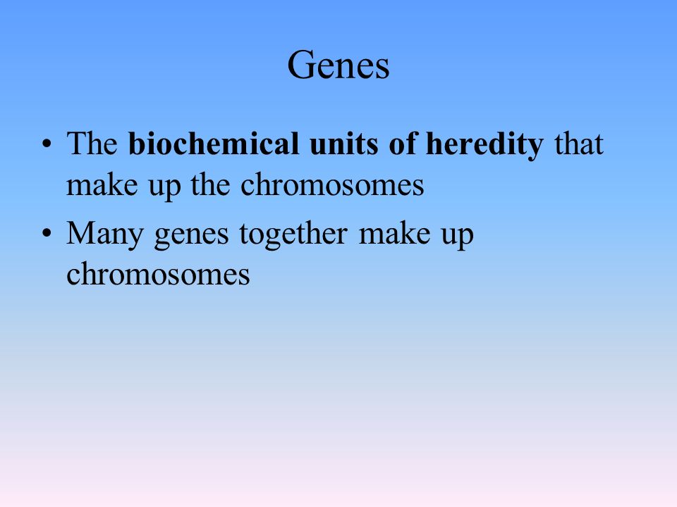 Genes The biochemical units of heredity that make up the chromosomes Many genes together make up chromosomes