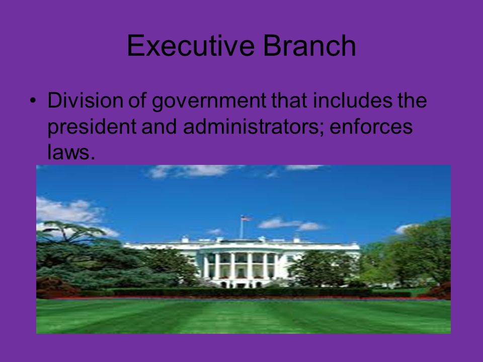 Legislative Branch Division of the government that proposes and passes bills