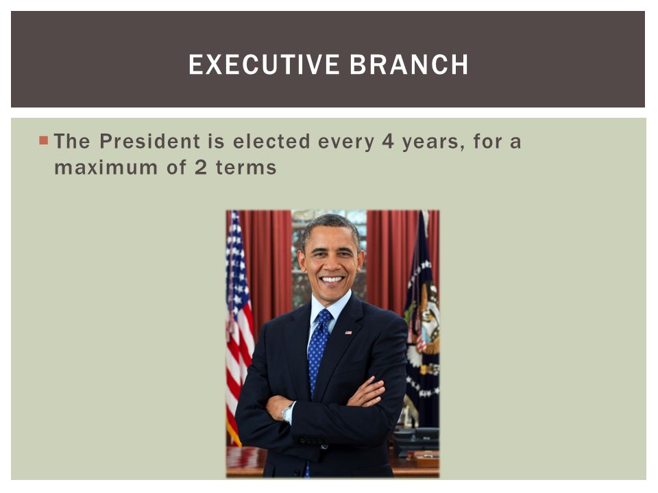  The President is elected every 4 years, for a maximum of 2 terms EXECUTIVE BRANCH