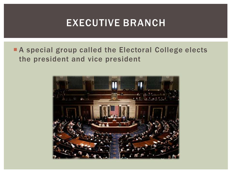  A special group called the Electoral College elects the president and vice president EXECUTIVE BRANCH