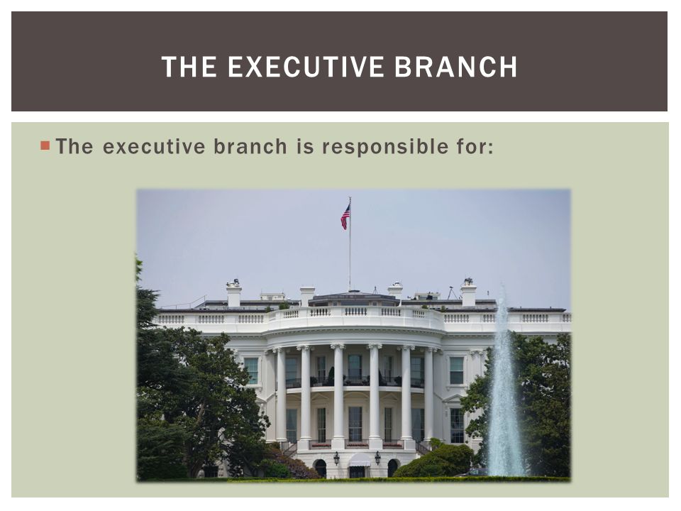  The executive branch is responsible for: THE EXECUTIVE BRANCH
