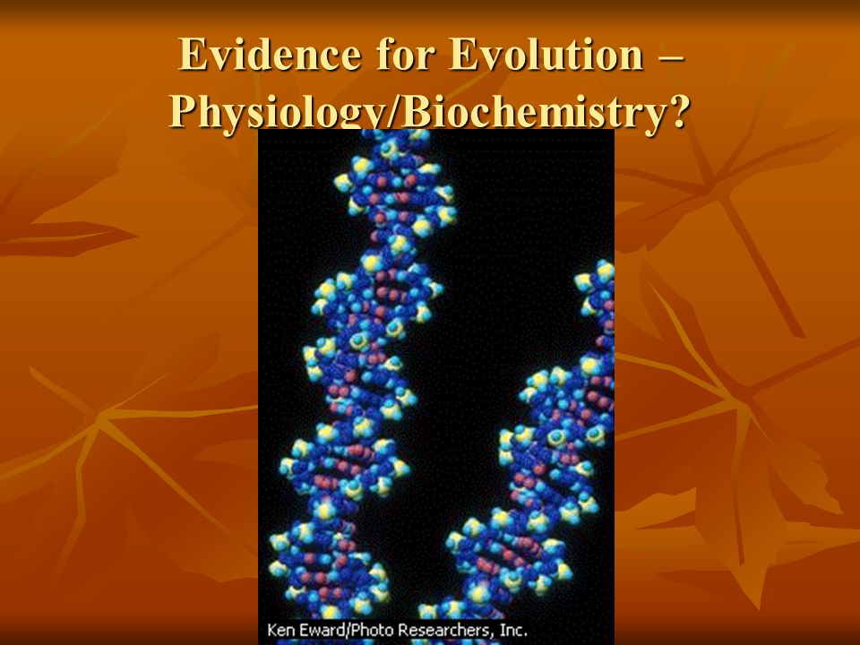 Evidence for Evolution – Physiology/Biochemistry