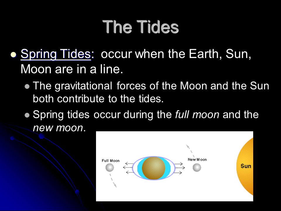 The Tides Spring Tides: Spring Tides: occur when the Earth, Sun, Moon are in a line.
