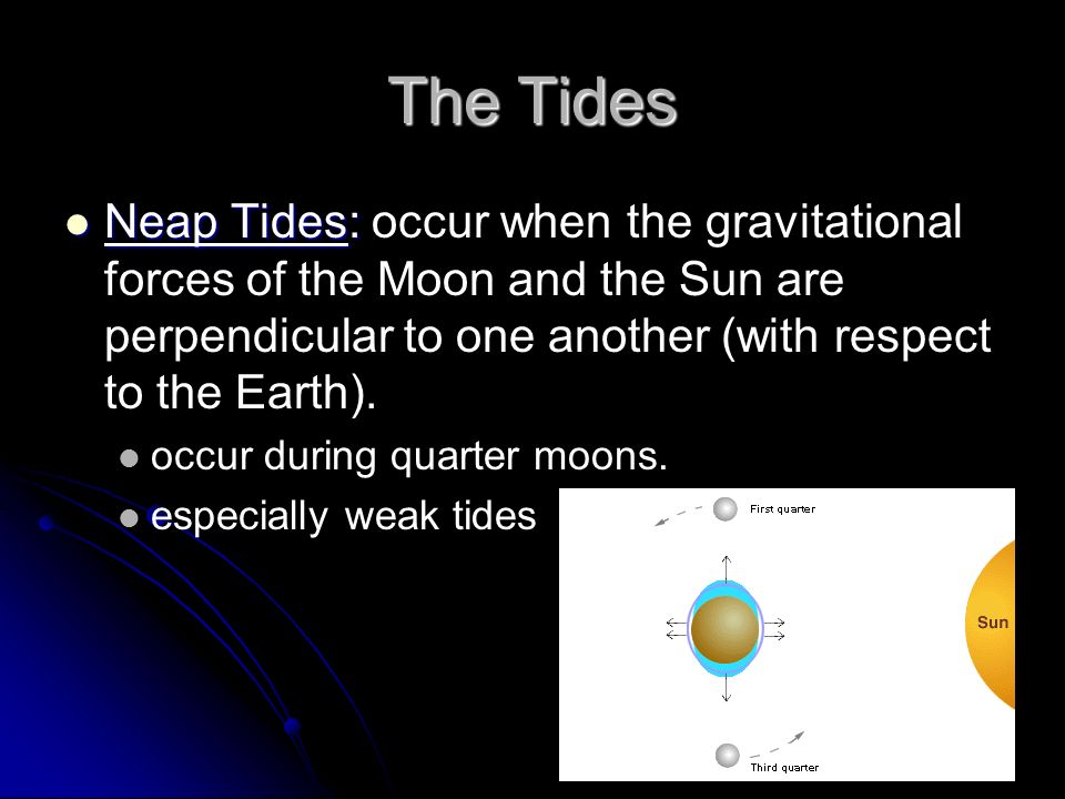 The Tides Neap Tides: Neap Tides: occur when the gravitational forces of the Moon and the Sun are perpendicular to one another (with respect to the Earth).
