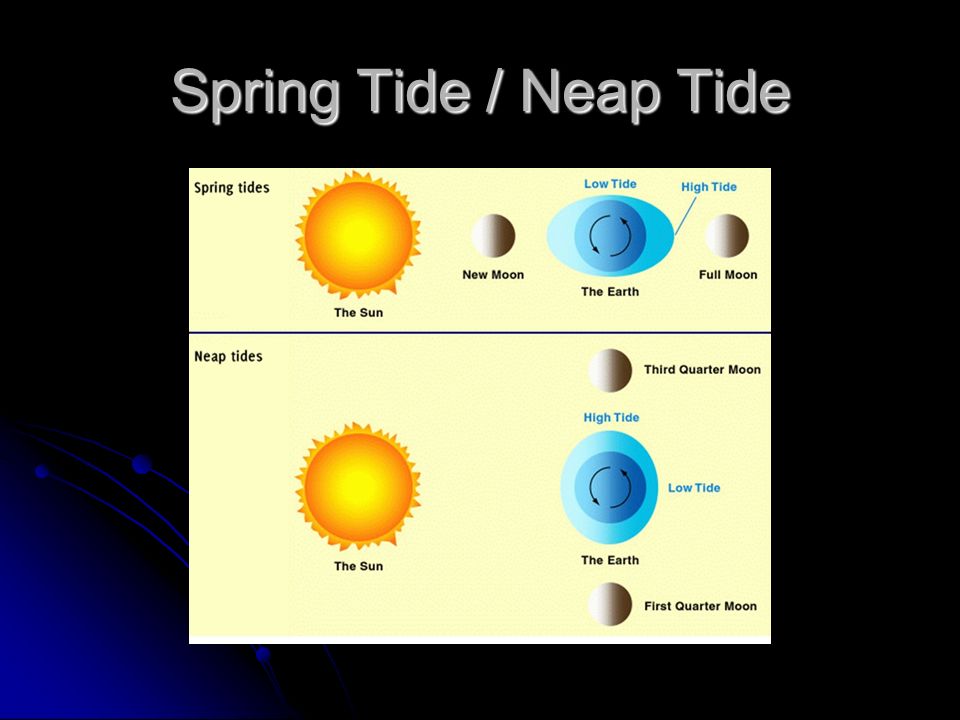 Spring Tide / Neap Tide