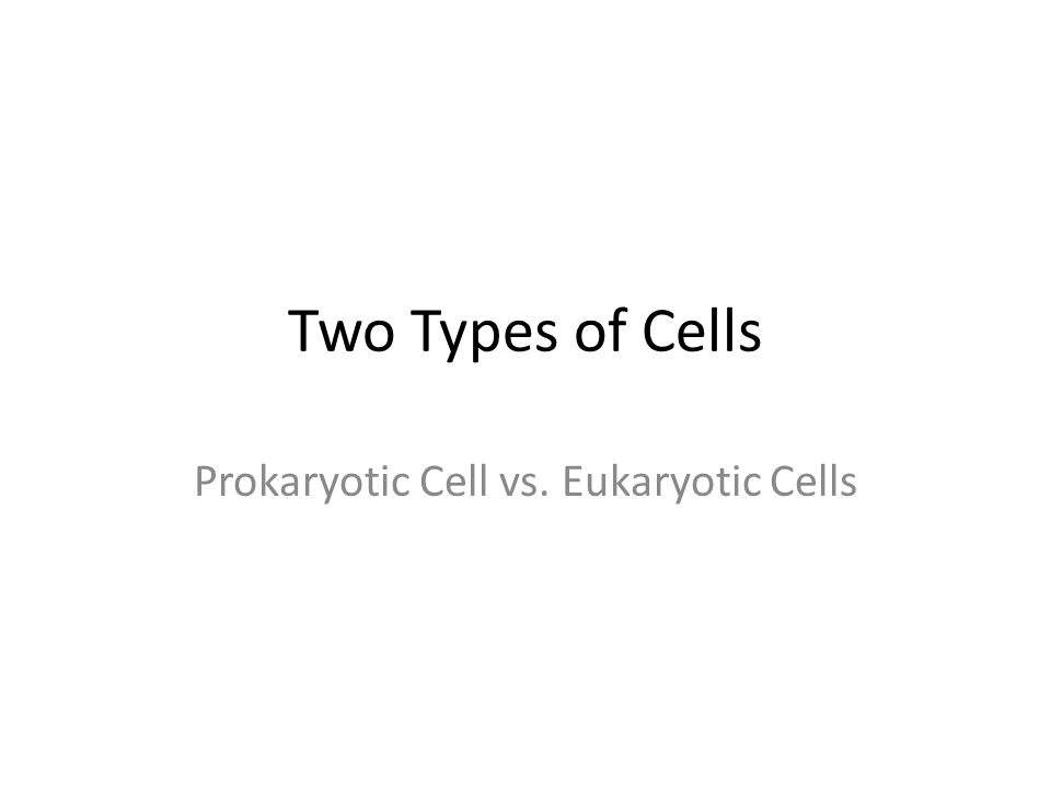 Two Types of Cells Prokaryotic Cell vs. Eukaryotic Cells