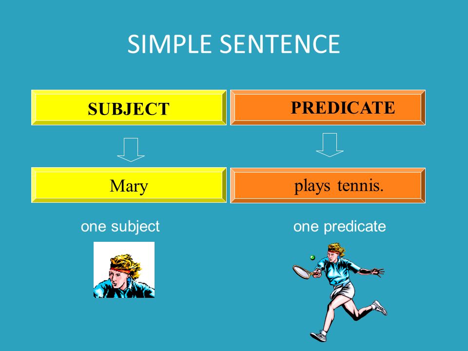 SIMPLE SENTENCE Mary plays tennis. SUBJECT PREDICATE one subject one predicate
