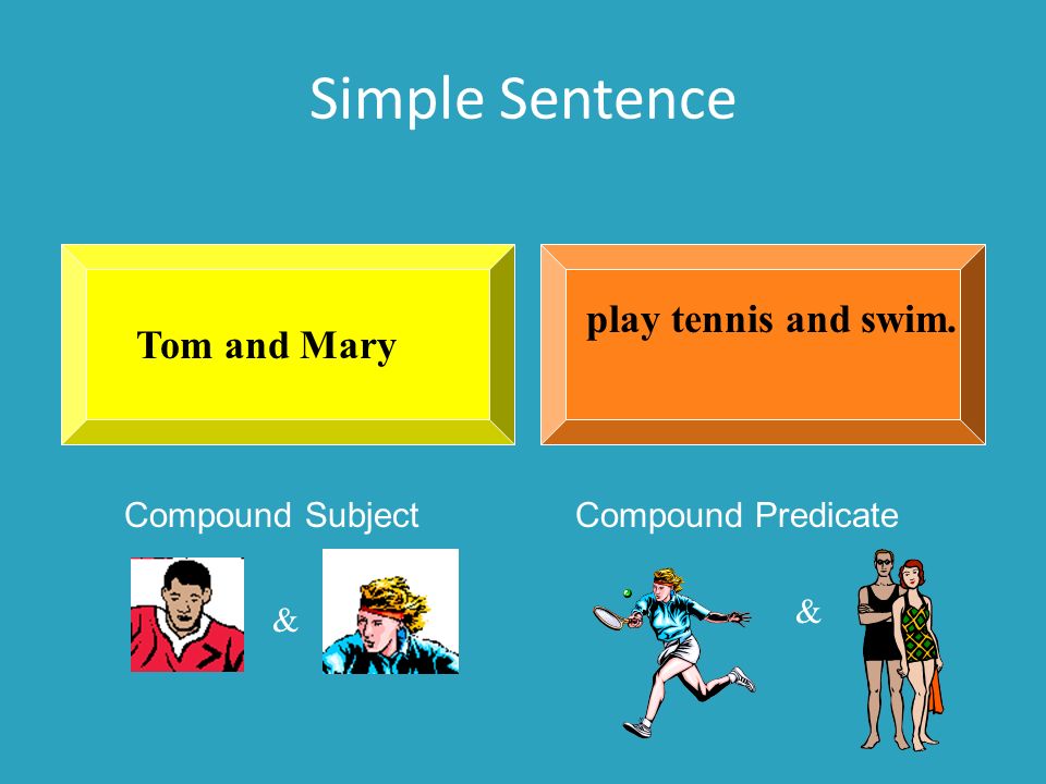 Simple Sentence play tennis and swim. Tom and Mary Compound Subject Compound Predicate & &