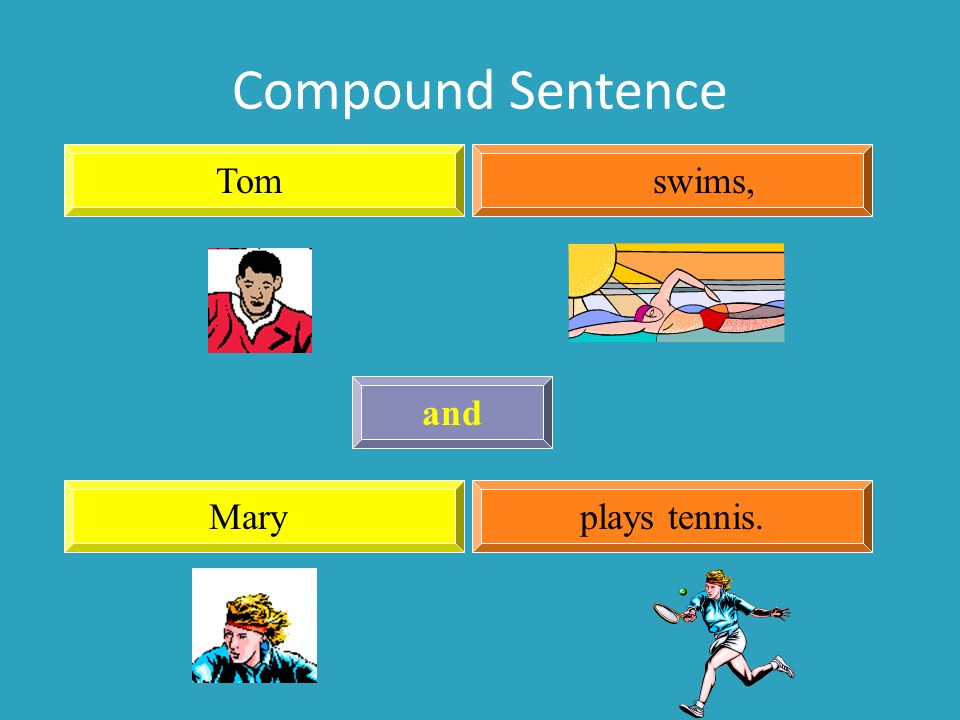 Compound Sentence Tomswims, Maryplays tennis. and