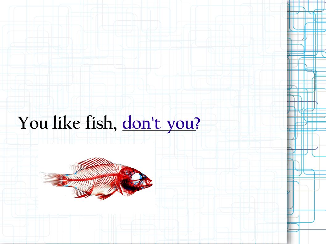You like fish,don t you