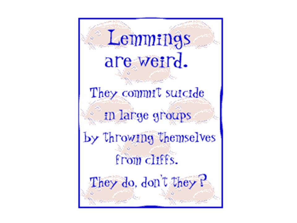 Lemmings and Chickens. Lemmings Small rodents usually found in the