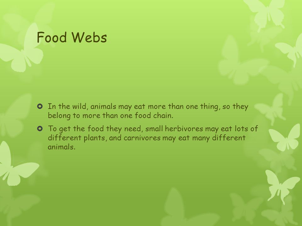 Habitats and Food Chains Make a list of living and non-living items that  you encounter in the world. - ppt download