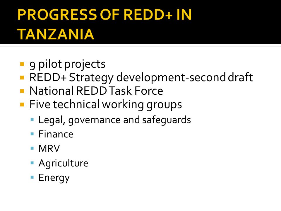  9 pilot projects  REDD+ Strategy development-second draft  National REDD Task Force  Five technical working groups  Legal, governance and safeguards  Finance  MRV  Agriculture  Energy