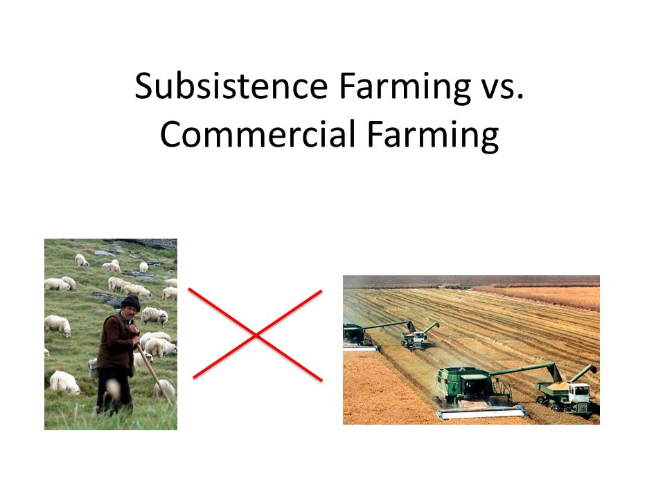 subsistence farming vs commercial farming what is subsistence what is subsistence farming
