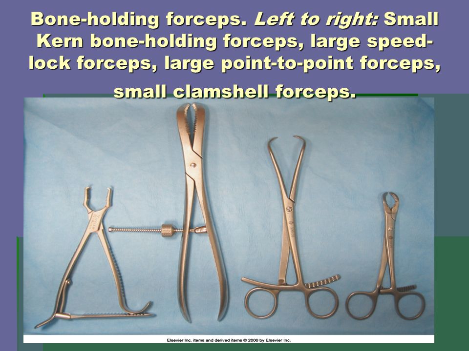 Bone-holding forceps.