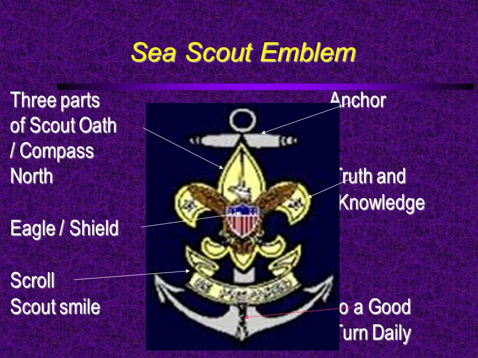 Scout badge meaning of the The Value
