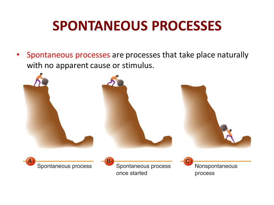 SPONTANEOUS PROCESSES Spontaneous processes are processes that take place naturally with no apparent cause or stimulus.