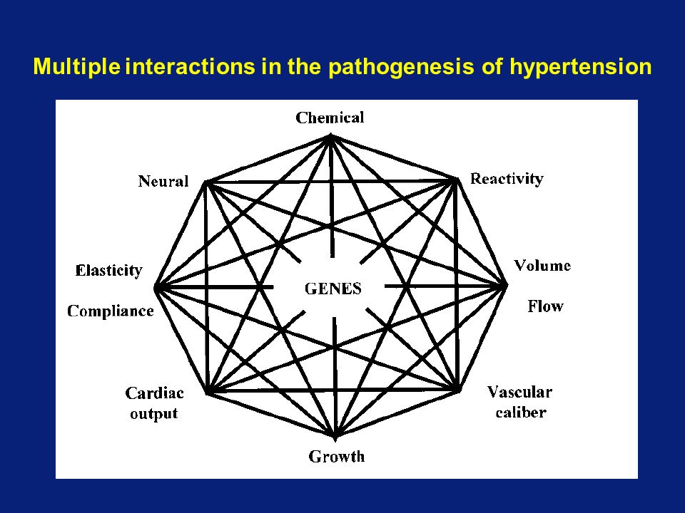 Multiple interactions in the pathogenesis of hypertension