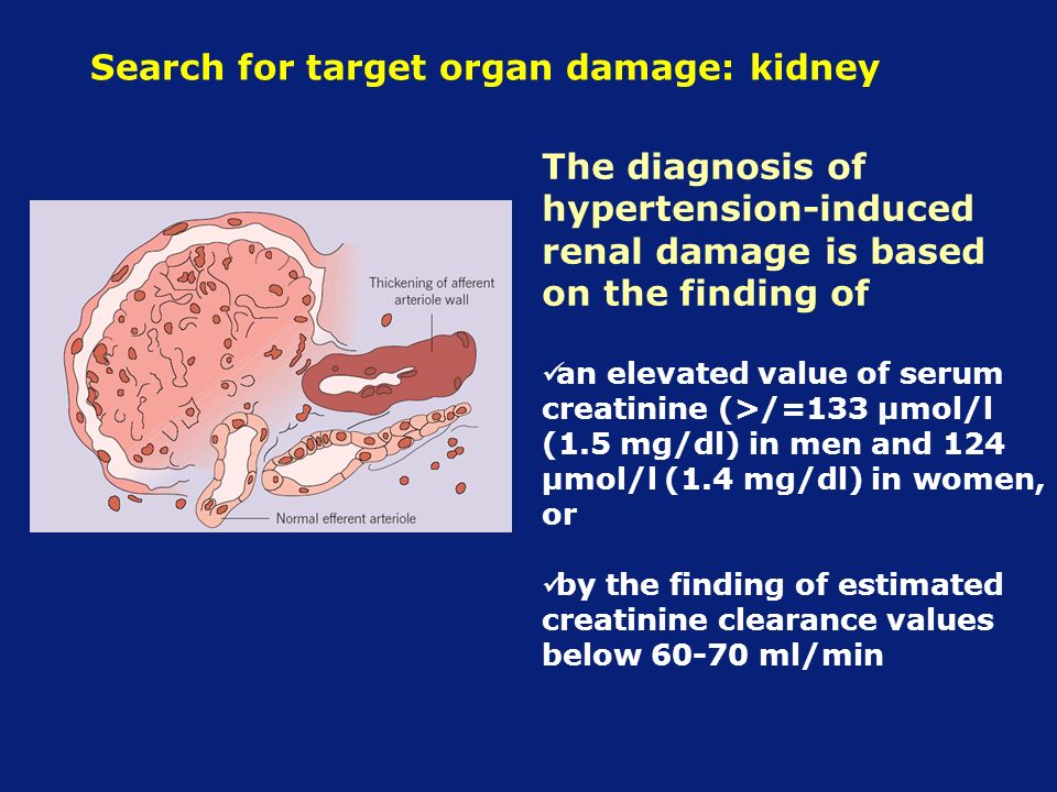Search for target organ damage: kidney The diagnosis of hypertension-induced renal damage is based on the finding of an elevated value of serum creatinine (>/=133 µmol/l (1.5 mg/dl) in men and 124 µmol/l (1.4 mg/dl) in women, or by the finding of estimated creatinine clearance values below ml/min