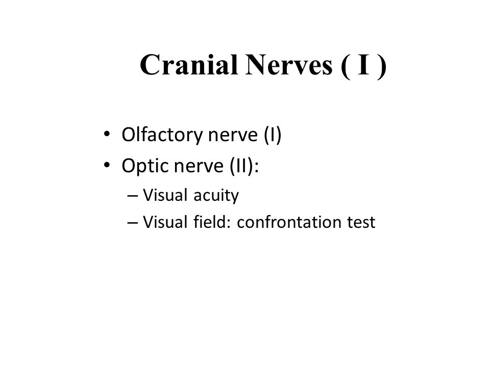 小兒神經學理學檢查 Fellow 黃意評 檢查大綱 Mental status Cranial nerve, Motor ...