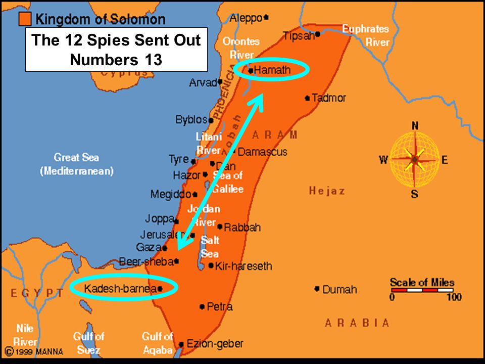 Numbers 13 and 14 Had traveled in the wilderness from Sinai On Southern edge of the Promised land Sent 12 spies to look over the land After 40 days they. - ppt download