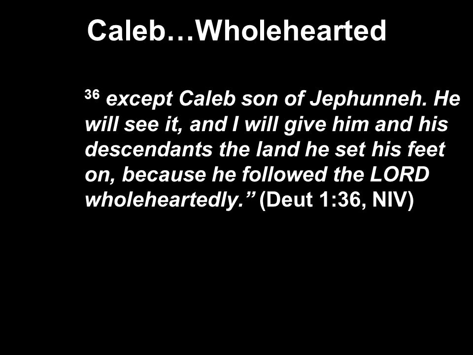 Caleb…Wholehearted 36 except Caleb son of Jephunneh.