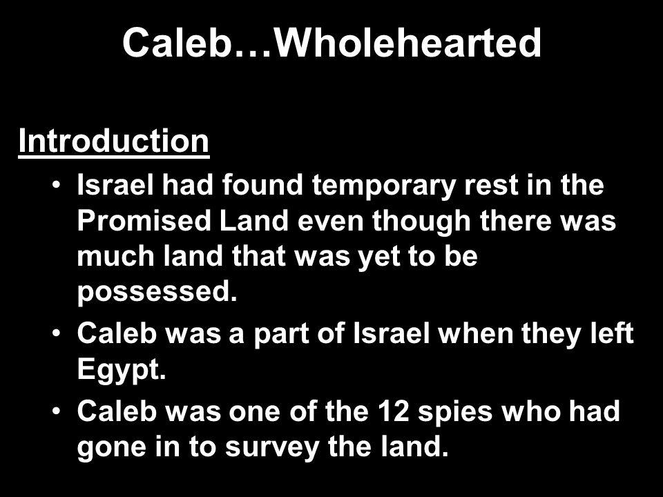 Caleb…Wholehearted Introduction Israel had found temporary rest in the Promised Land even though there was much land that was yet to be possessed.