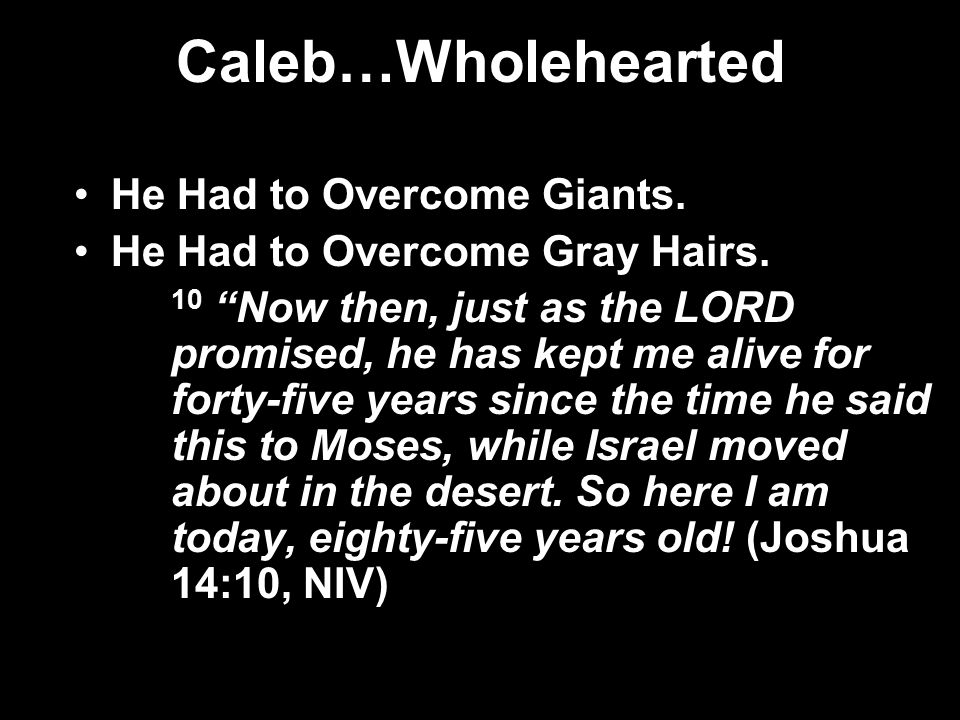 Caleb…Wholehearted He Had to Overcome Giants. He Had to Overcome Gray Hairs.