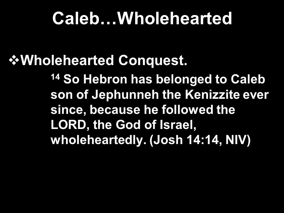 Caleb…Wholehearted  Wholehearted Conquest.