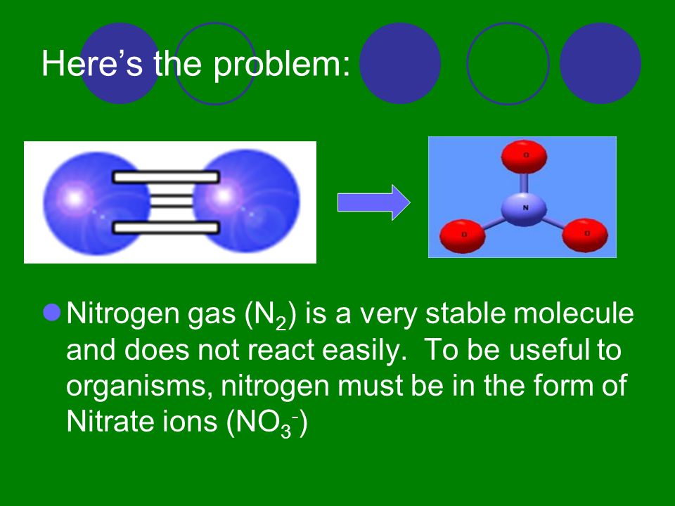 Here’s the problem: Nitrogen gas (N 2 ) is a very stable molecule and does not react easily.