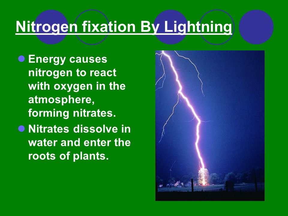Nitrogen fixation By Lightning Energy causes nitrogen to react with oxygen in the atmosphere, forming nitrates.