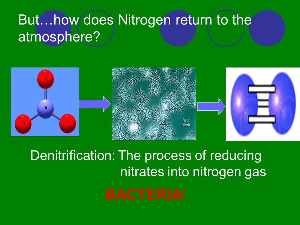 But…how does Nitrogen return to the atmosphere.