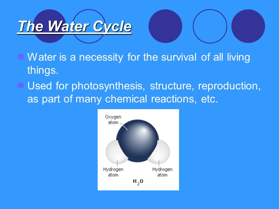 The Water Cycle Water is a necessity for the survival of all living things.