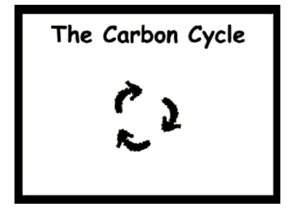 Carbon Cycle cartoon