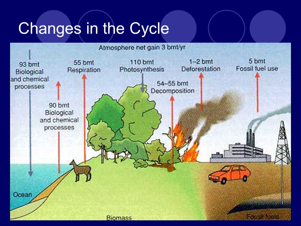 Changes in the Cycle