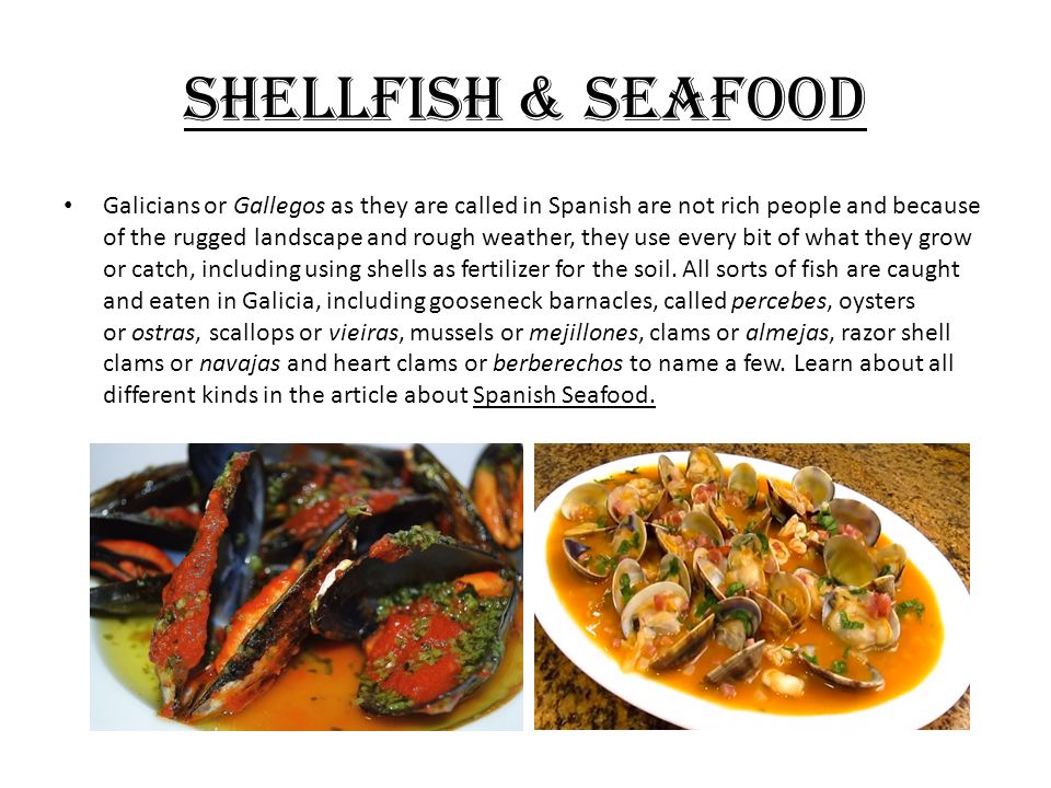 Spanish Regional Cuisine Galicia Shellfish Seafood Galicians Or Gallegos As They Are Called In Spanish Are Not Rich People And Because Of The Rugged Ppt Download,Ham Hock And Beans Soup