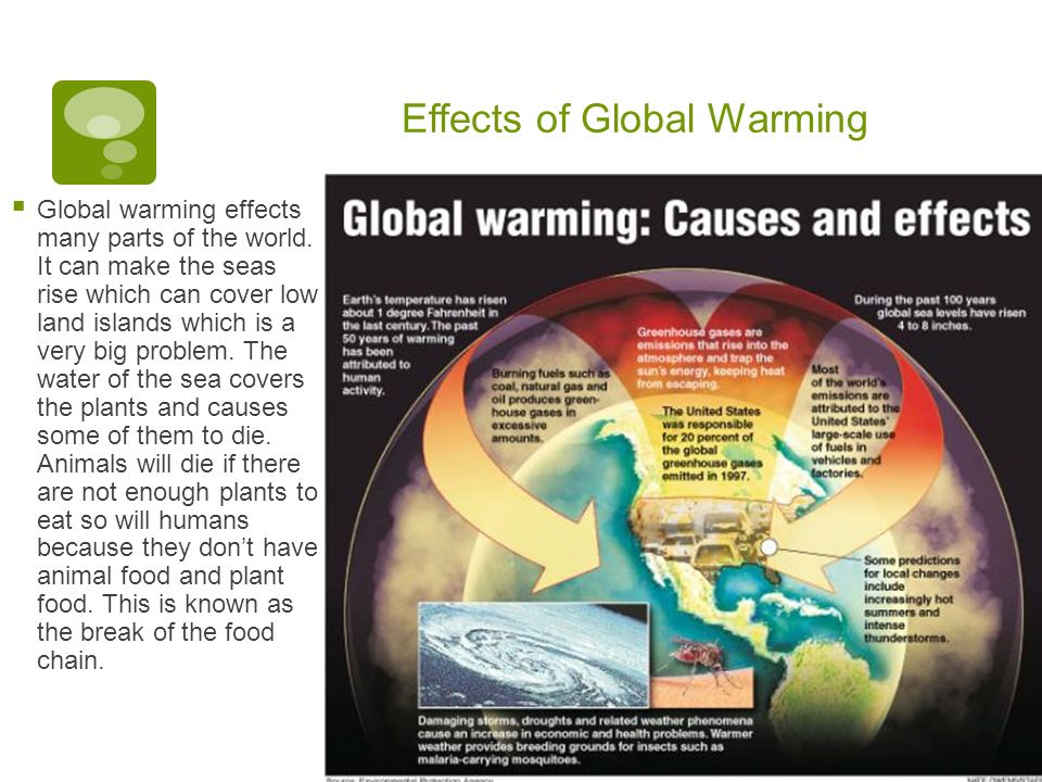 Effects of Global Warming  Global warming effects many parts of the world.