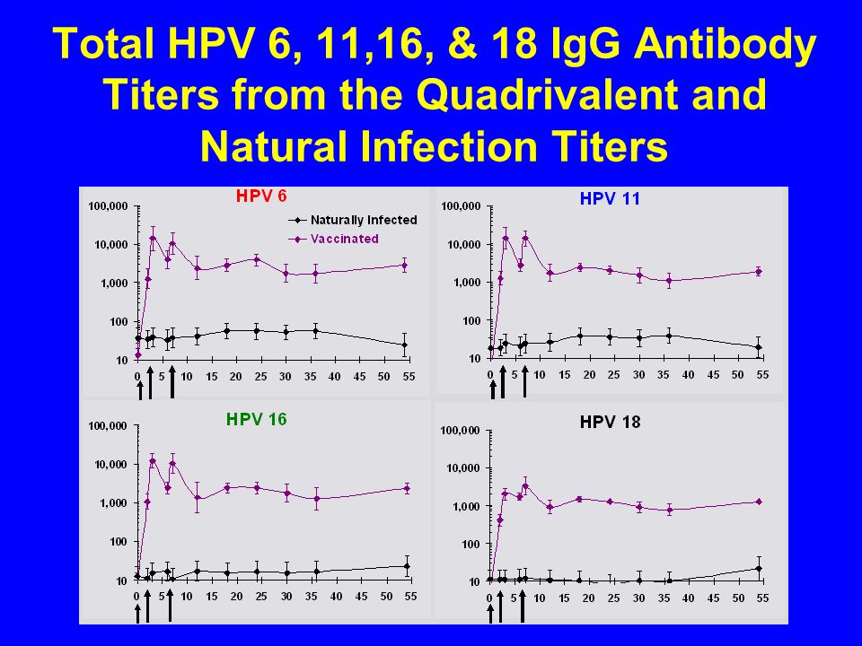 33 Total HPV 6, 11,16, & 18 IgG Antibody Titers from the Quadrivalent and Natural Infection Titers