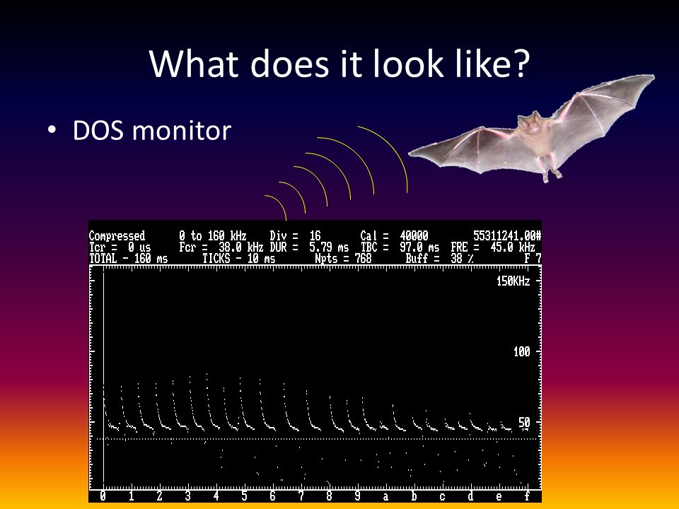What does it look like DOS monitor