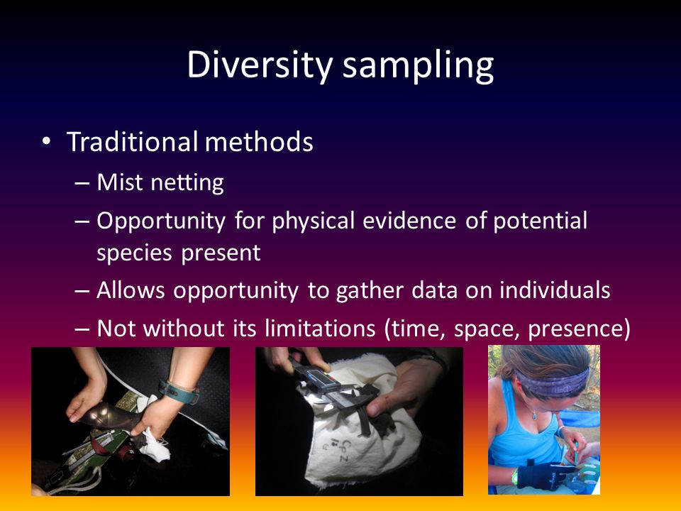 Diversity sampling Traditional methods – Mist netting – Opportunity for physical evidence of potential species present – Allows opportunity to gather data on individuals – Not without its limitations (time, space, presence)