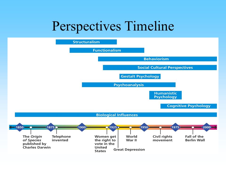 Perspectives Timeline