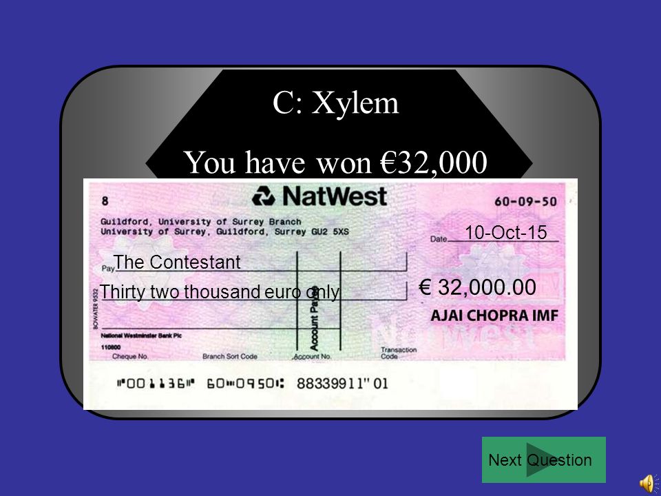 For €32,000: Minerals are transported through a plant in the … A B C D Phloem sieve tubes Companion cells Xylem Ground tissue 50:50Ask the audiencePhone a friend