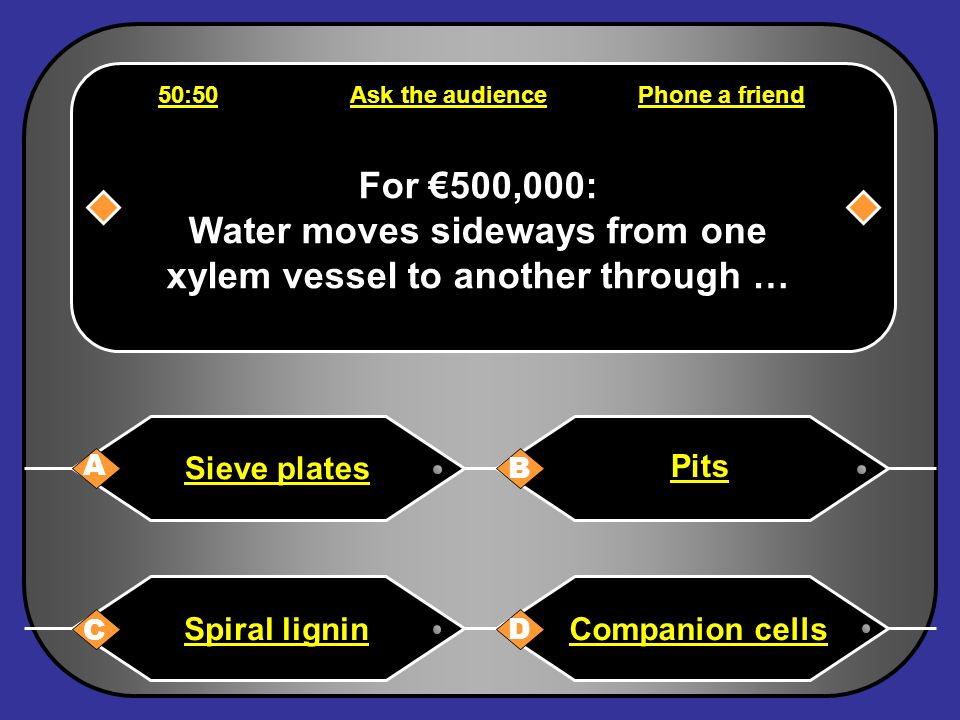 Phone a friend Hello, it s Chris Tarrant on Who wants to be a millionaire, this question is for €250,000.