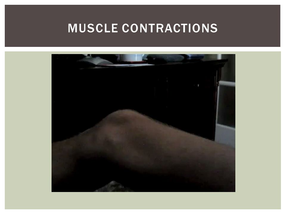MUSCLE CONTRACTIONS
