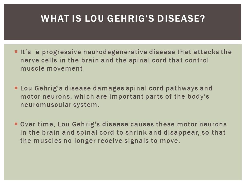  It’s a progressive neurodegenerative disease that attacks the nerve cells in the brain and the spinal cord that control muscle movement  Lou Gehrig s disease damages spinal cord pathways and motor neurons, which are important parts of the body s neuromuscular system.