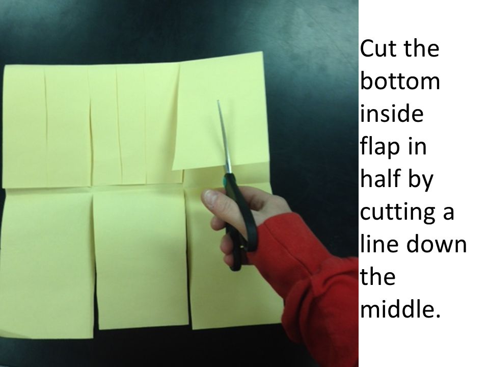 Cut the bottom inside flap in half by cutting a line down the middle.